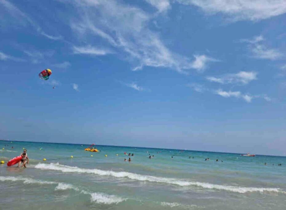 Charming & Spacious Apartment In Historic Centre & Short Walk To Beach Alicante Buitenkant foto