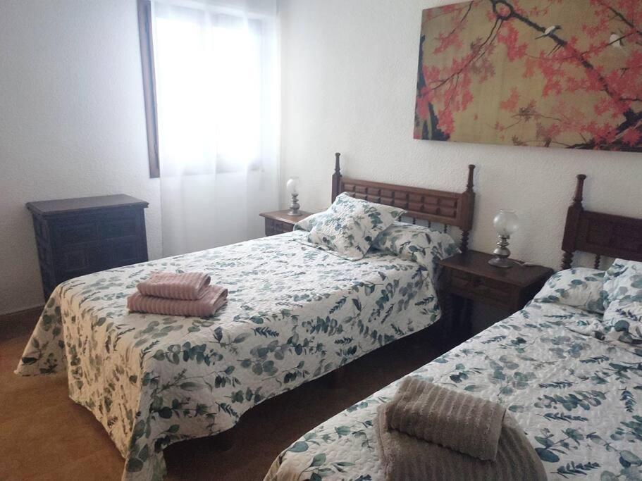 Charming & Spacious Apartment In Historic Centre & Short Walk To Beach Alicante Buitenkant foto
