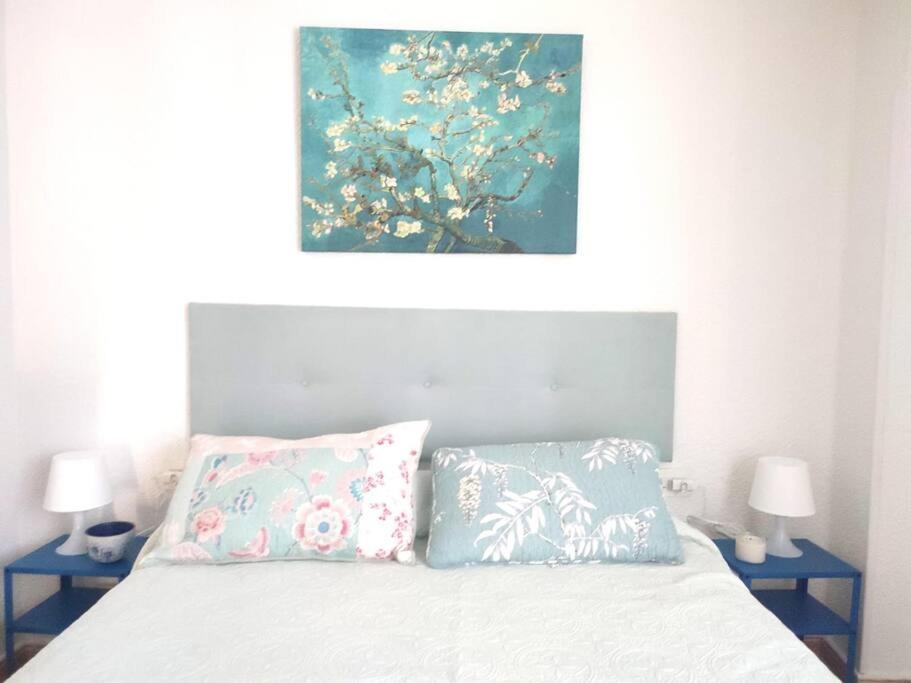 Charming & Spacious Apartment In Historic Centre & Short Walk To Beach Alicante Buitenkant foto